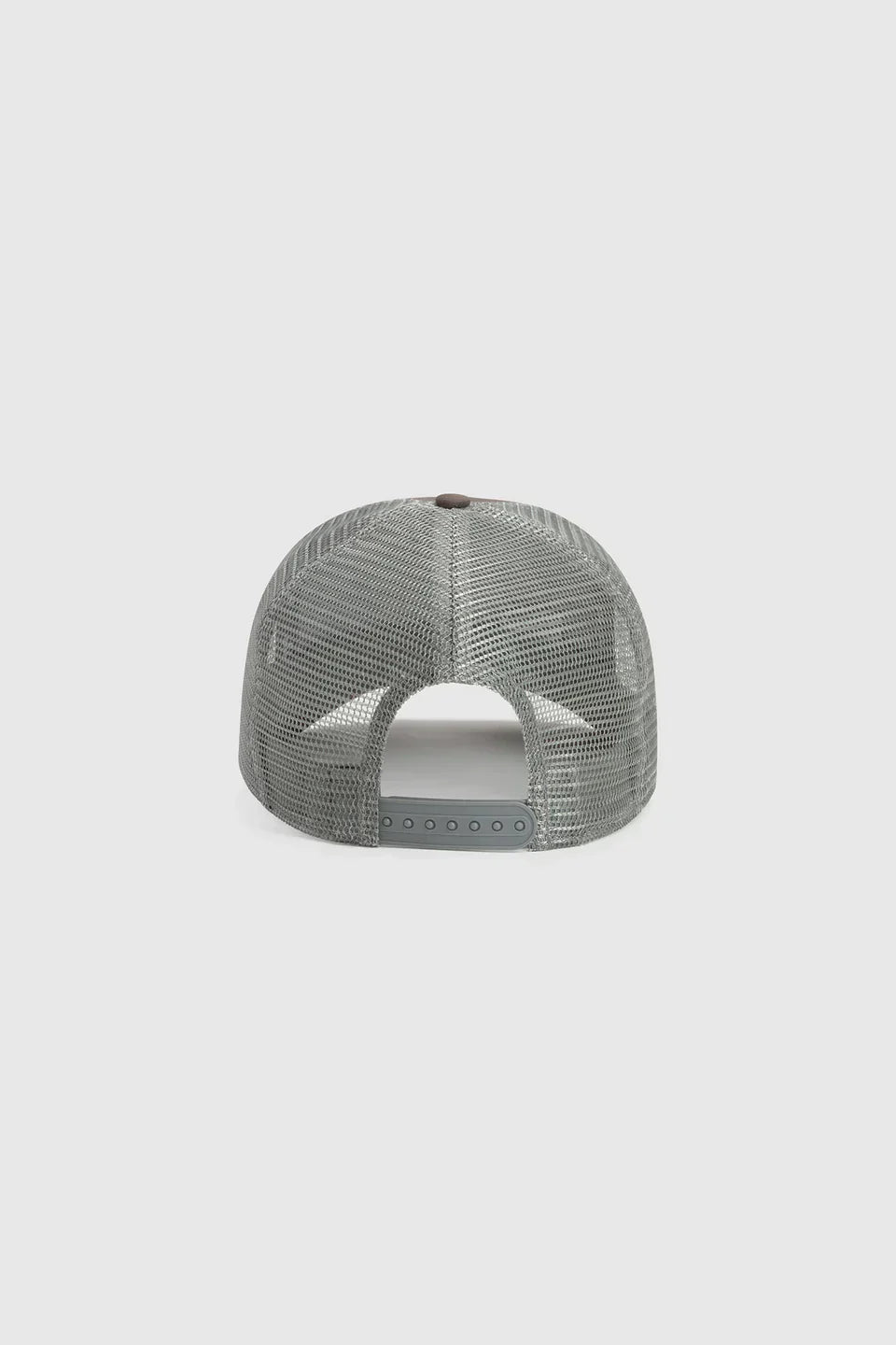 BASIC CT CAP CEMENT